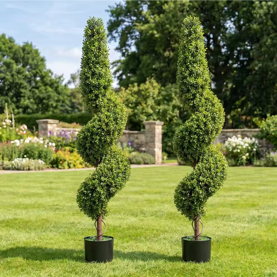 Paire d'arbres topiaires en buis spirale