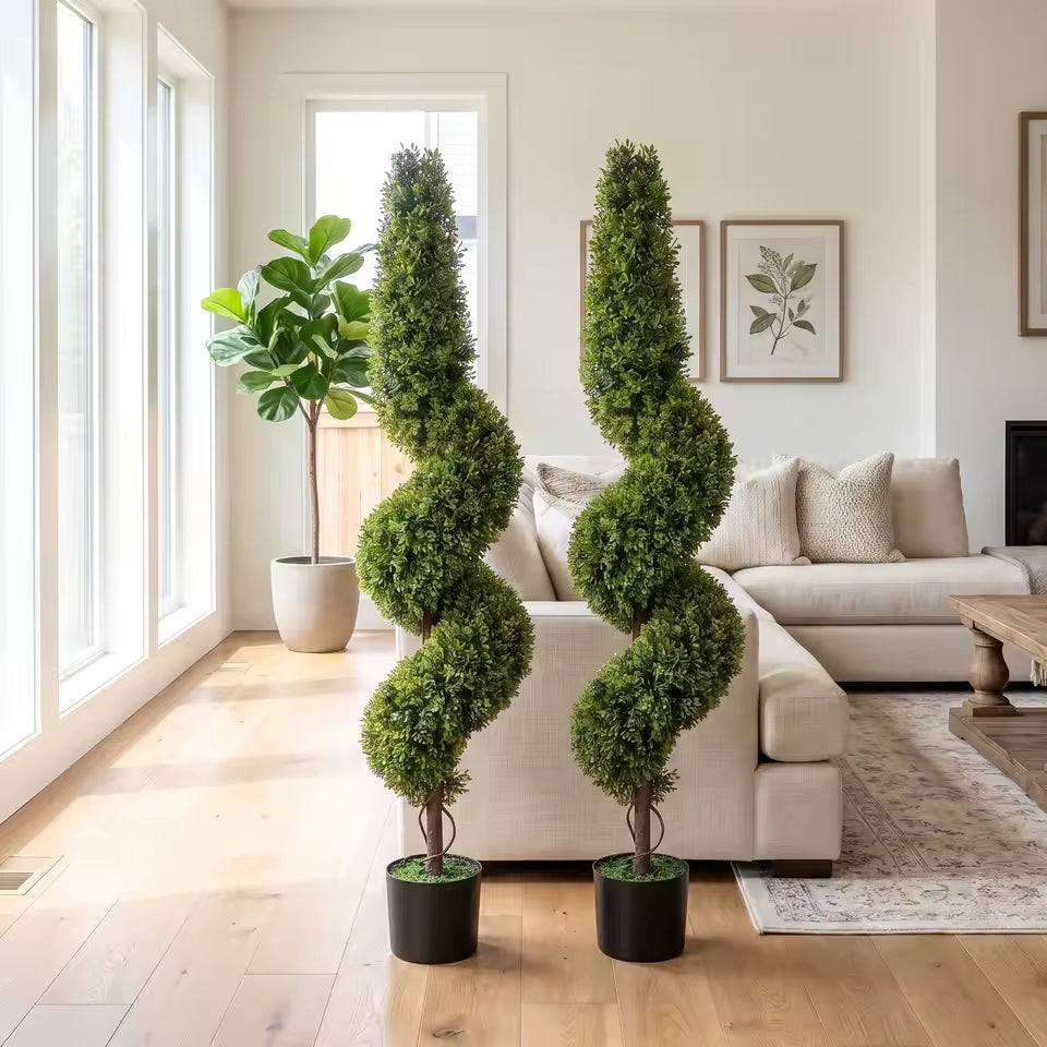 Paire d'arbres topiaires en buis spirale
