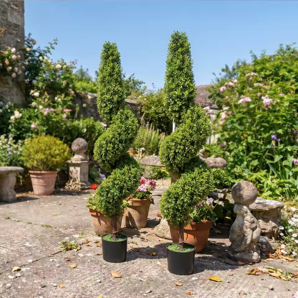 Paire d'arbres topiaires en buis spirale