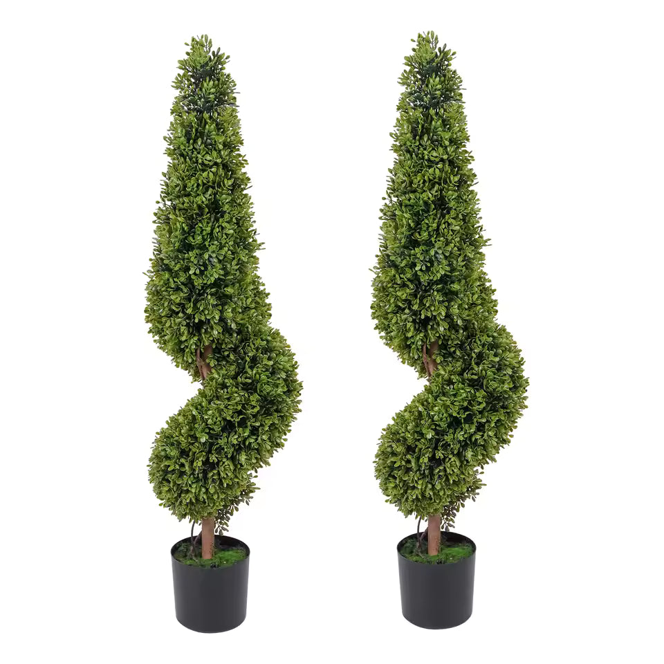 Paire d'arbres topiaires en buis spirale