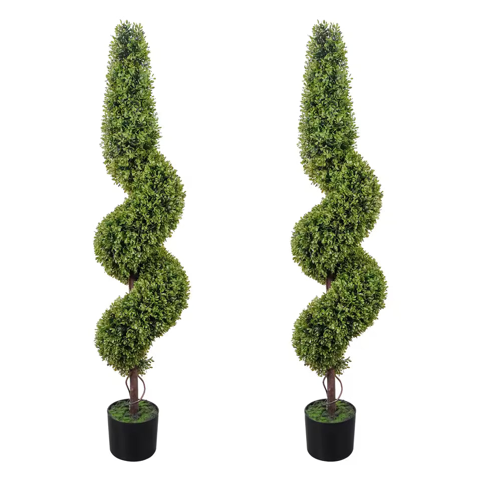 Paire d'arbres topiaires en buis spirale