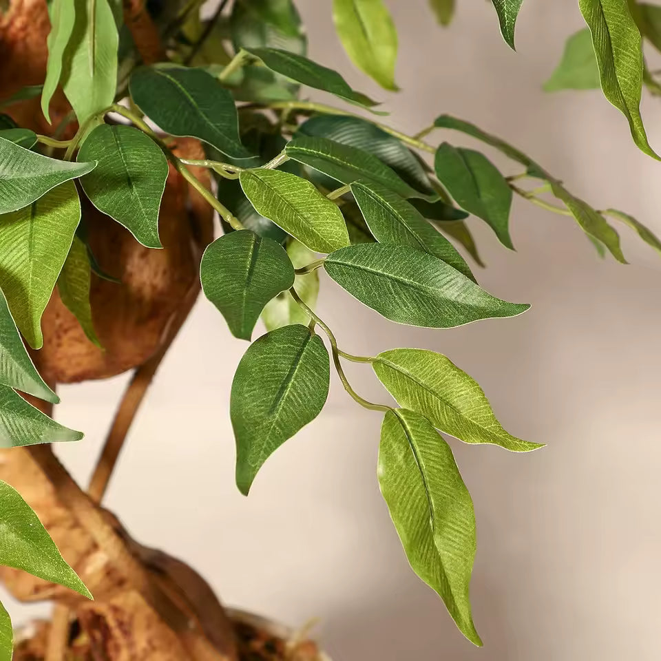 Ficus artificiel tronc incurvé avec pot blanc