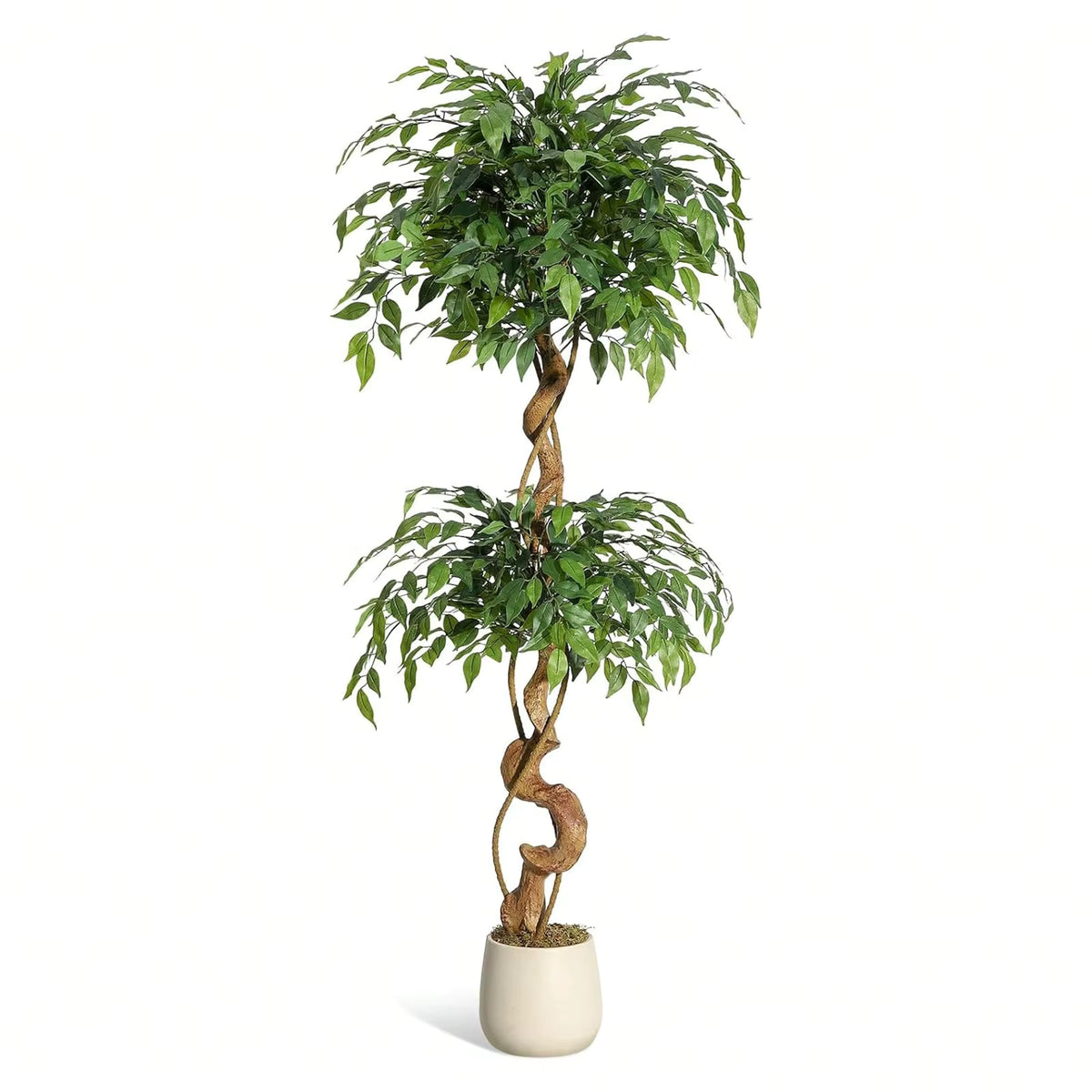 Ficus artificiel tronc incurvé avec pot blanc