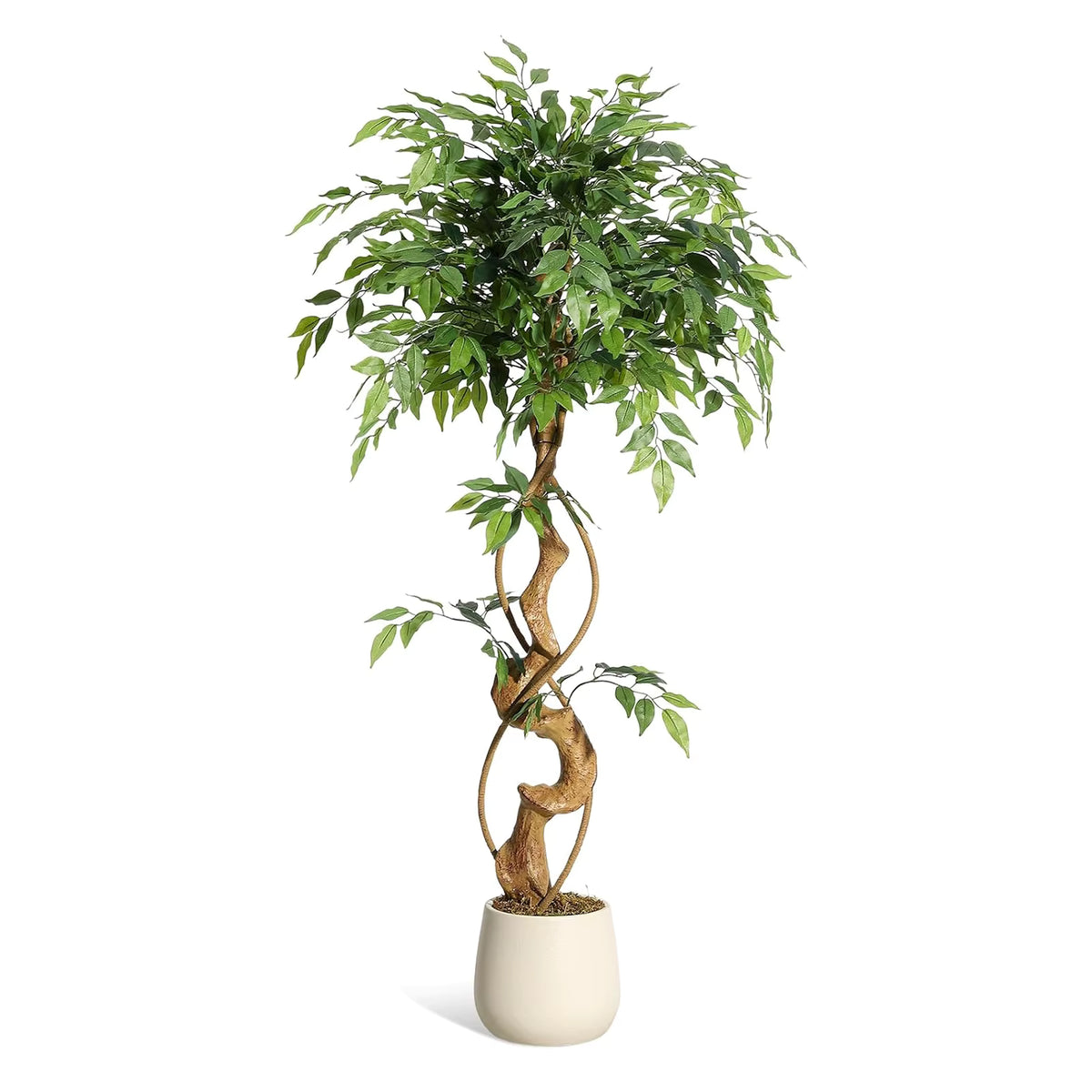 Ficus artificiel tronc incurvé avec pot blanc